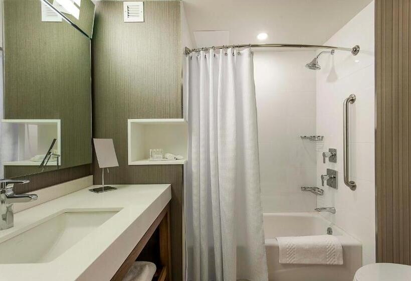 スタンダードルーム, Courtyard By Marriott Montreal West Island/baie D’urfe