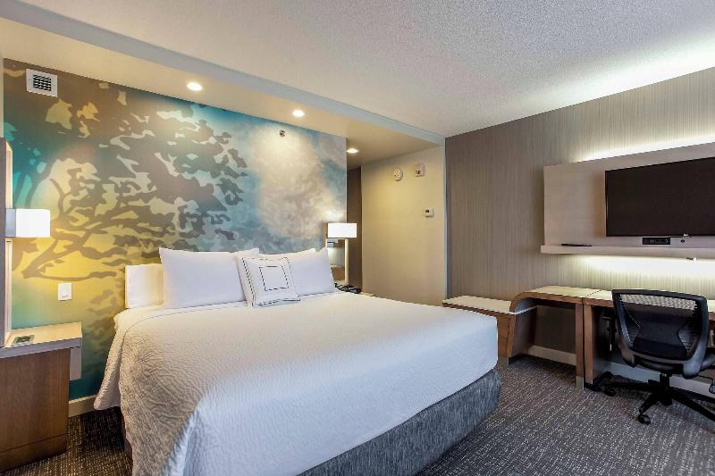 キングサイズベッドのスタンダードルーム, Courtyard By Marriott Montreal West Island/baie D’urfe