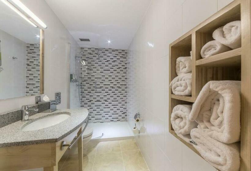 اتاق استاندارد با تخت بزرگ, Hampton By Hilton Iasi
