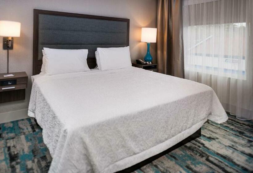 Deluxe Suite King Bed, Hampton Inn & Suites Olympia Lacey