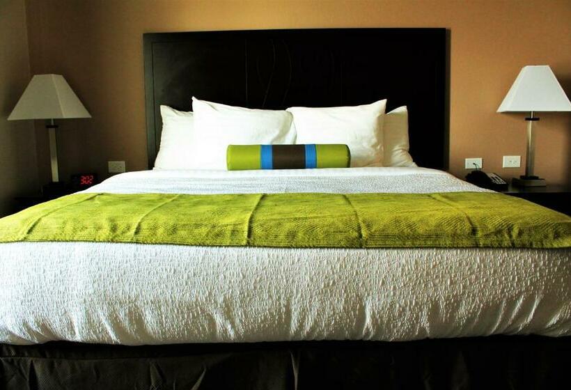 Номер Стандарт Адаптированный для Инвалидов, Best Western Plus Denver City Hotel & Suites