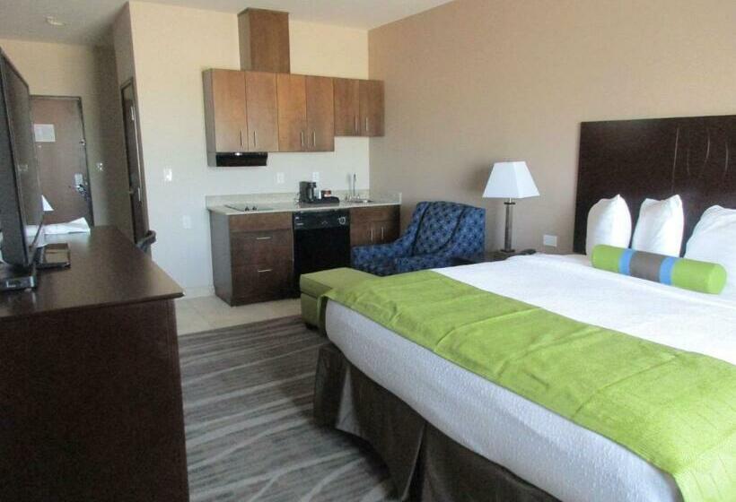 Номер Стандарт с Кухней, Best Western Plus Denver City Hotel & Suites