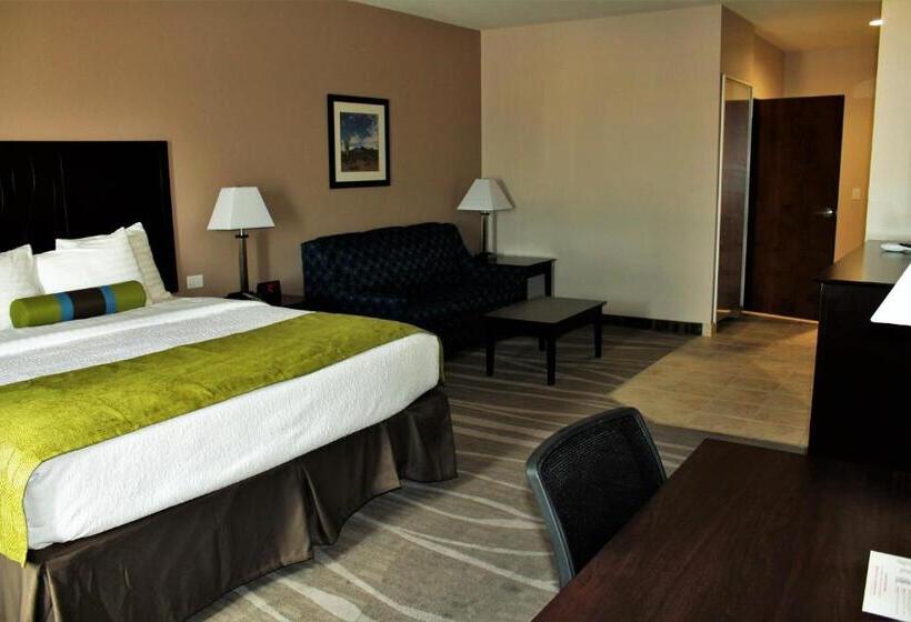 Люкс Адаптированный для Инвалидов, Best Western Plus Denver City Hotel & Suites