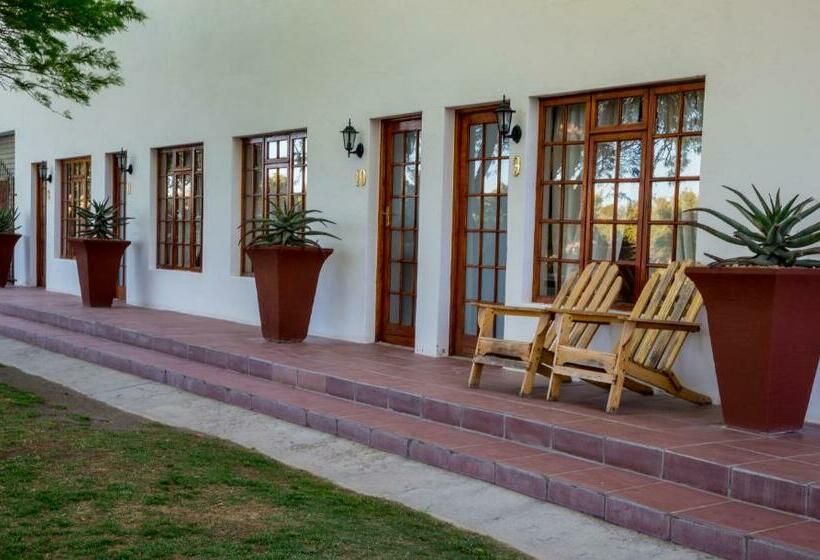 Люкс, Olive Grove Guest Farm
