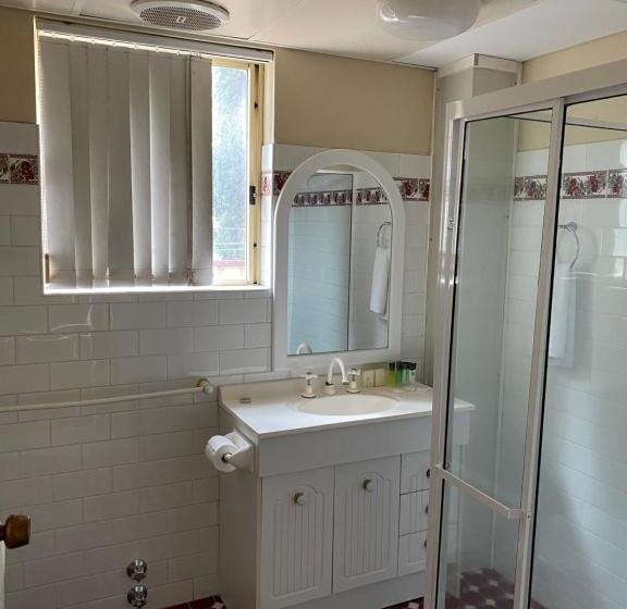 Апартаменты 1 Спальня Нижний Этаж, Aussie Rest Motel