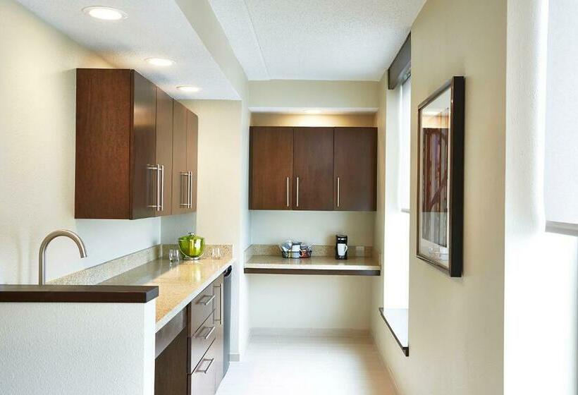 سوئیت با تخت بزرگ, Hyatt Place Lansing East