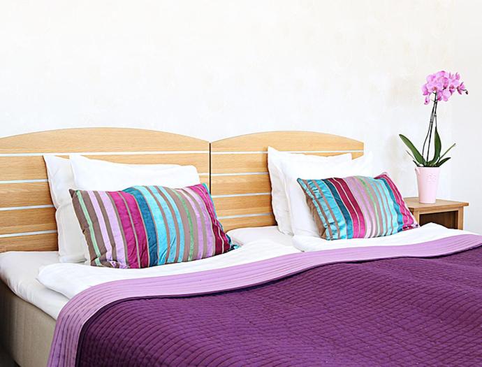 Quarto Estandar, L City