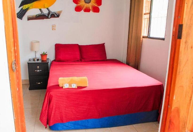 스탠다드 싱글 룸, Hostal Raices De Mi Pueblo