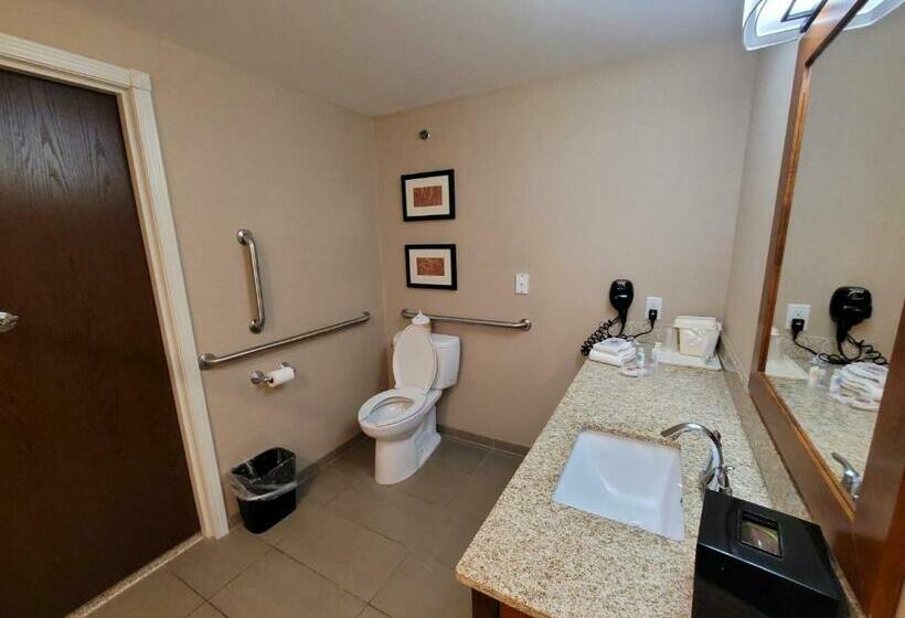 适合残疾人士使用的套间, Comfort Suites Kanab National Park Area