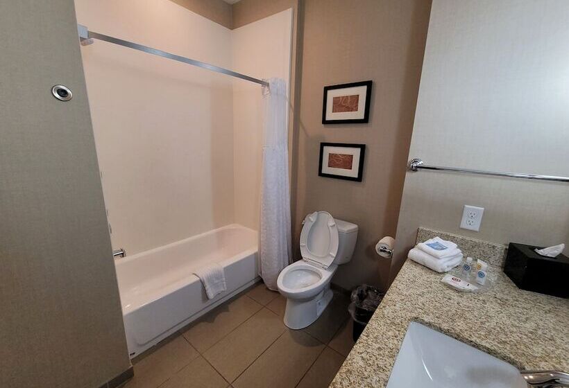 标准间, Comfort Suites Kanab National Park Area