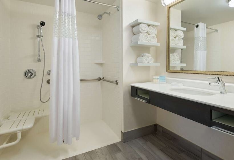 Люкс Адаптированный для Инвалидов, Hampton Inn & Suites Tampa Airport Avion Park Westshore