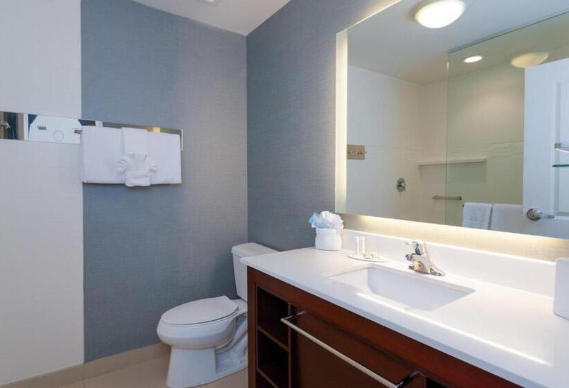 Студио Стандарт Кровать Кинг, Residence Inn By Marriott Philadelphia Great Valley/malvern