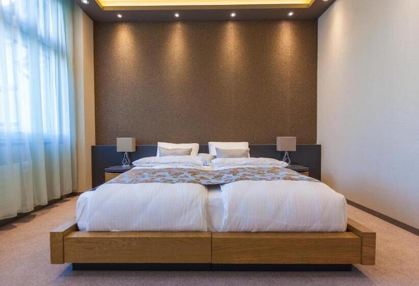 Номер Deluxe, Plaza Hotel Winterthur