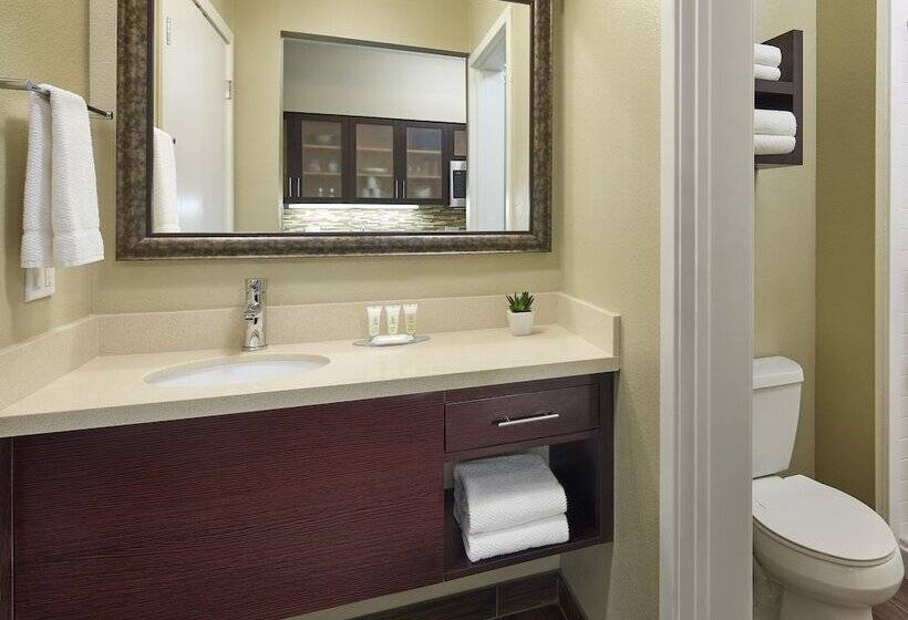 带2个卧室的套房, Staybridge Suites Anaheim At The Park, An Ihg