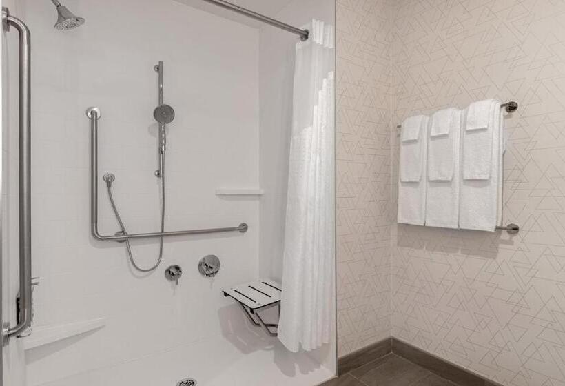 适用于残疾人士的豪华房间, Holiday Inn Express & Suites St Thomas