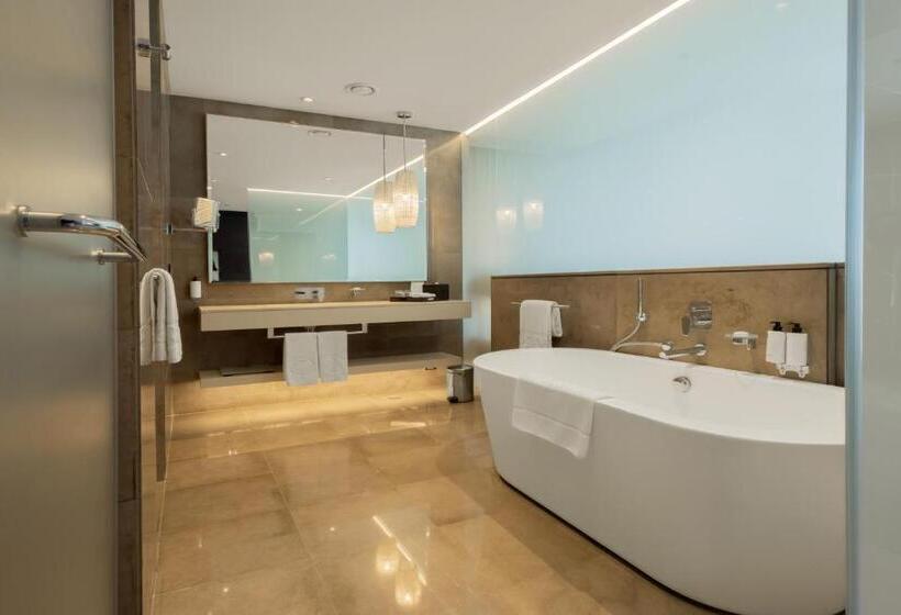 اتاق استاندارد با تخت بزرگ, Amman Rotana