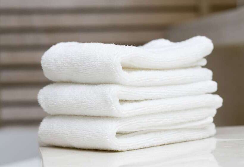 اتاق استاندارد با 2 تخت دوبل, Hilton Garden Inn New York Times Square North