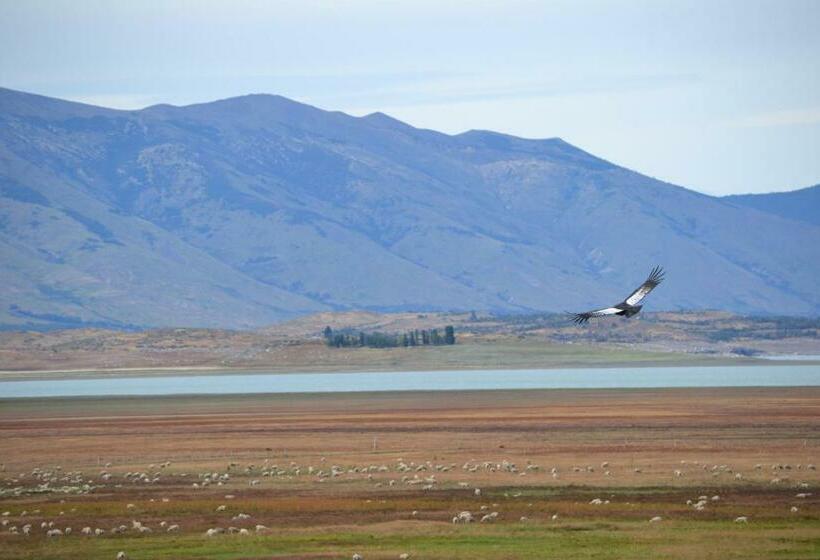 标准间, Madretierra Patagonia