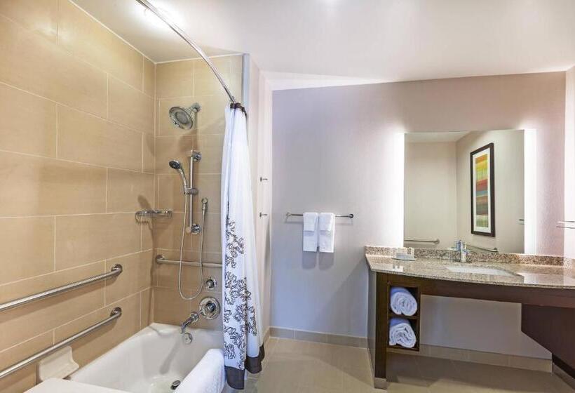带城市景观的标准工作室, Residence Inn By Marriott Austin Northwest/the Domain Area