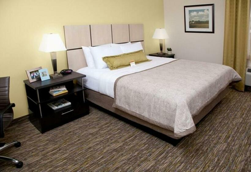 キングサイドベッドのスタンダードワンルーム, Candlewood Suites Vestal   Binghamton, An Ihg