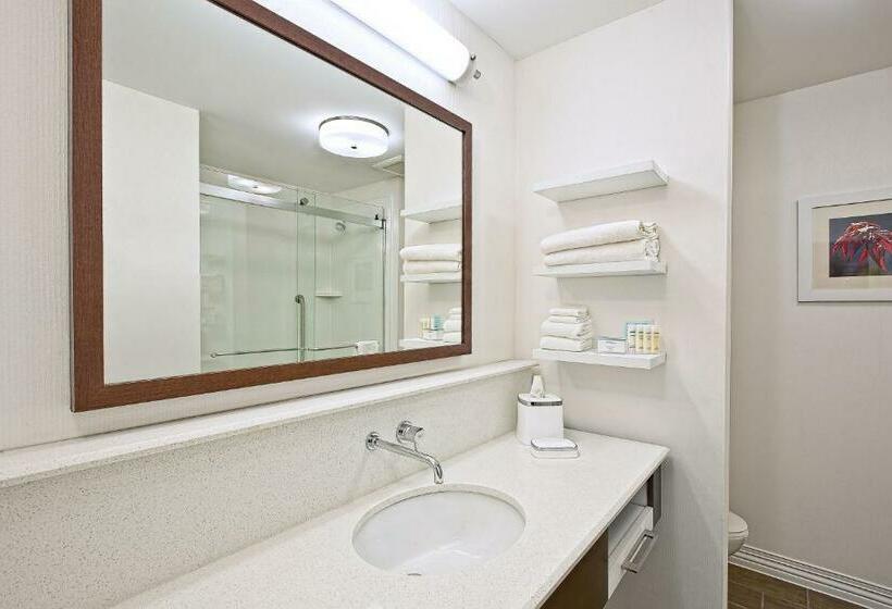 스탠다드 룸 킹사이즈 침대, Hampton Inn By Hilton West Bloomfield Novi