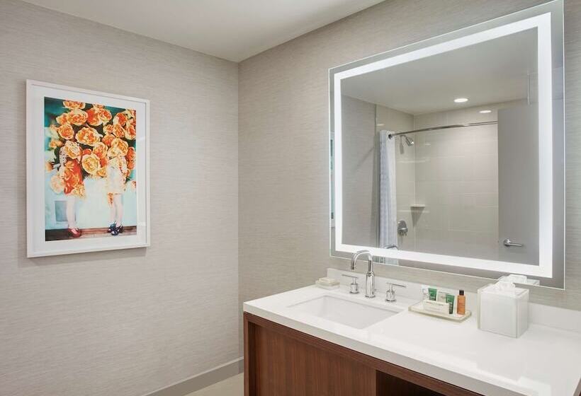 Президентский Люкс, Hilton West Palm Beach