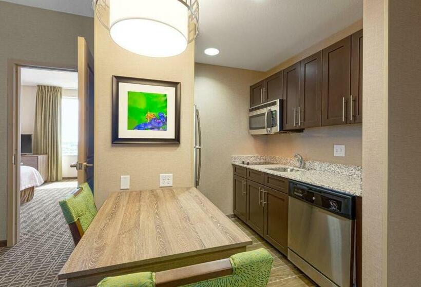 带大床的复式套间, Homewood Suites Houston Downtown