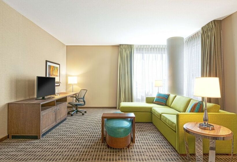 套房, Homewood Suites Houston Downtown