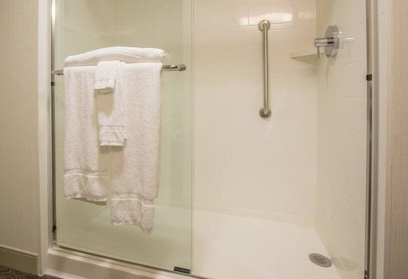 适合残疾人士使用的套间, Homewood Suites Houston Downtown