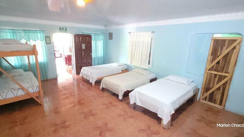带共用卧室公用房间的床, Sweet Gulf Hostel