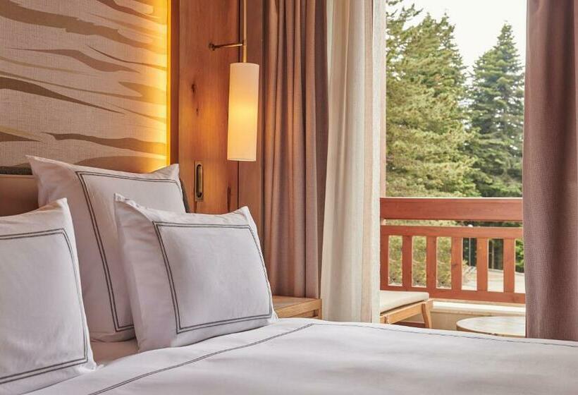 Номер Deluxe Кровать Кинг, Swissotel Uludag Bursa