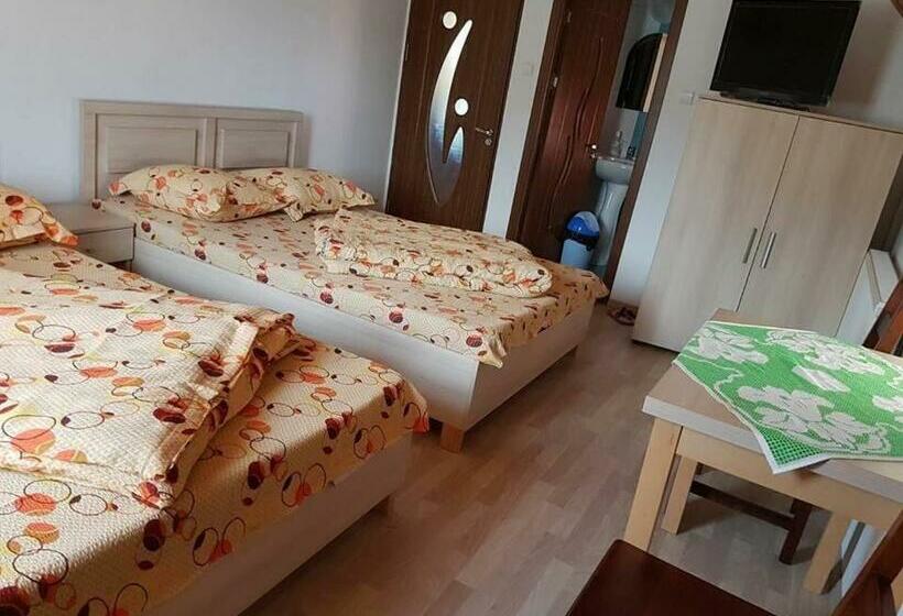 Номер Economy, Pensiunea Valea Oiasca