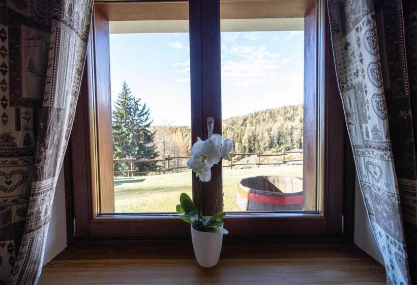 اتاق سوپریور, Le Coin Des Mélèzes   Nature, Trek & Ski