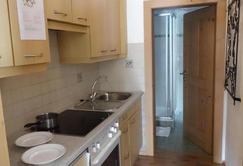 Апартаменты 1 Спальня, Astn Hütten Residenz Waldsicht Königsleiten   Ferienwohnungen