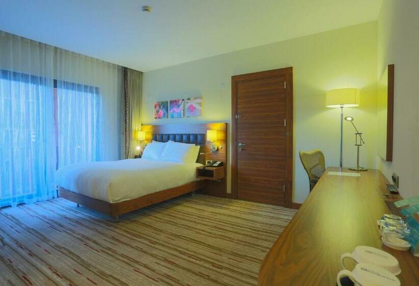 장애인을 위한 스탠다드 룸, Hilton Garden Inn Eskisehir