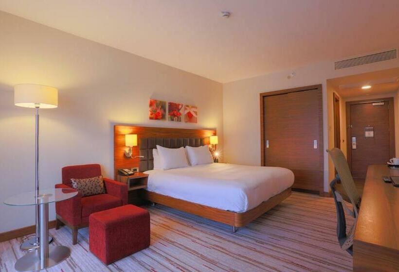 스탠다드 룸 킹사이즈 침대, Hilton Garden Inn Eskisehir
