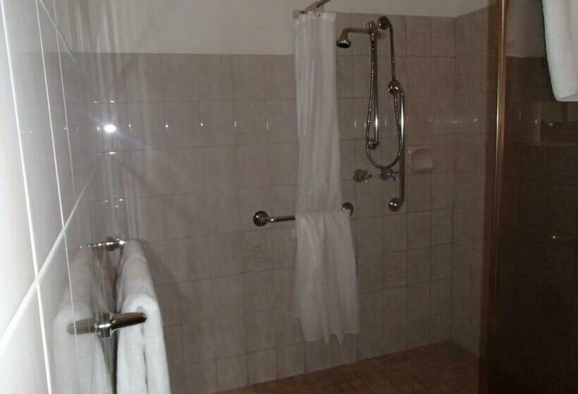 장애인을 위한 스탠다드 룸, City Colonial Motor Inn