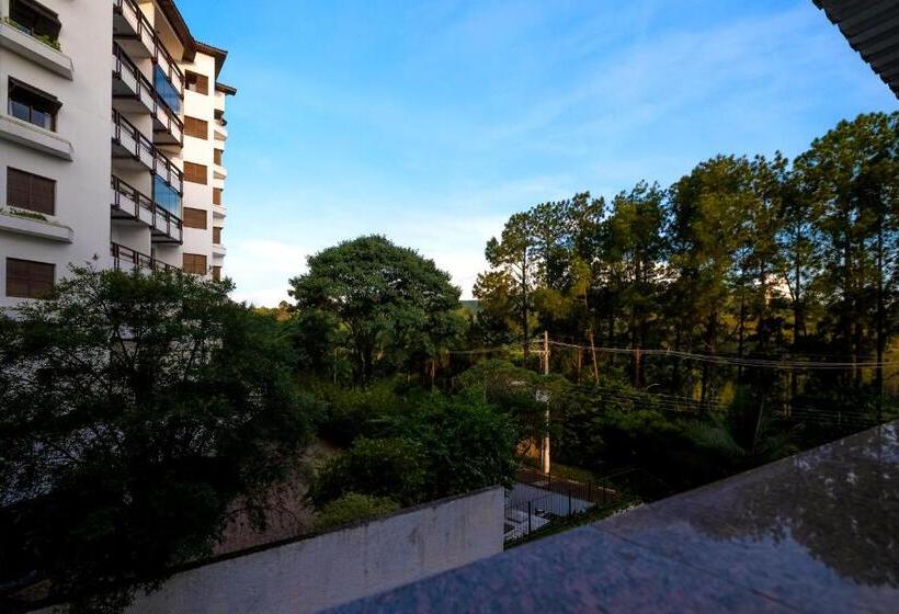 Четырехместный Номер Стандарт, Rovi Plaza