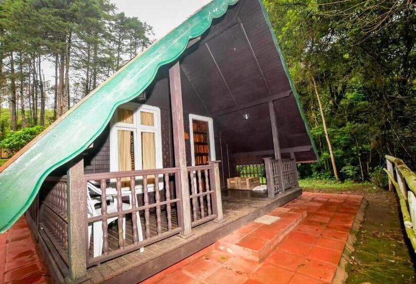 اتاق استاندارد سه نفره, Fazenda Floresta Negra