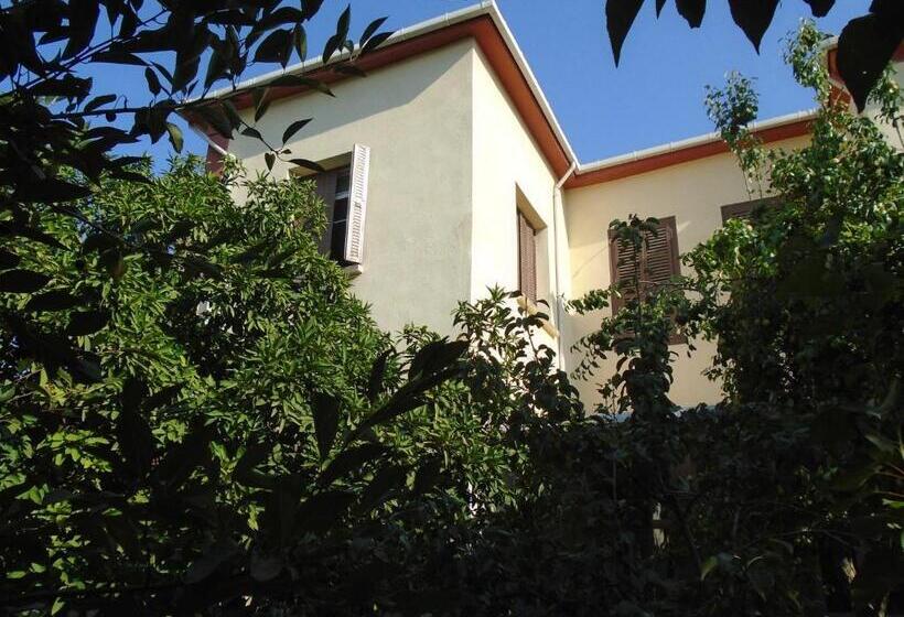 اتاق لوکس, Lotus Garden Hostel Izmir
