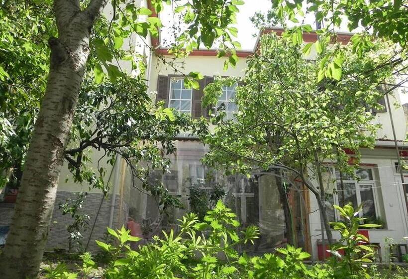 اتاق استاندارد, Lotus Garden Hostel Izmir