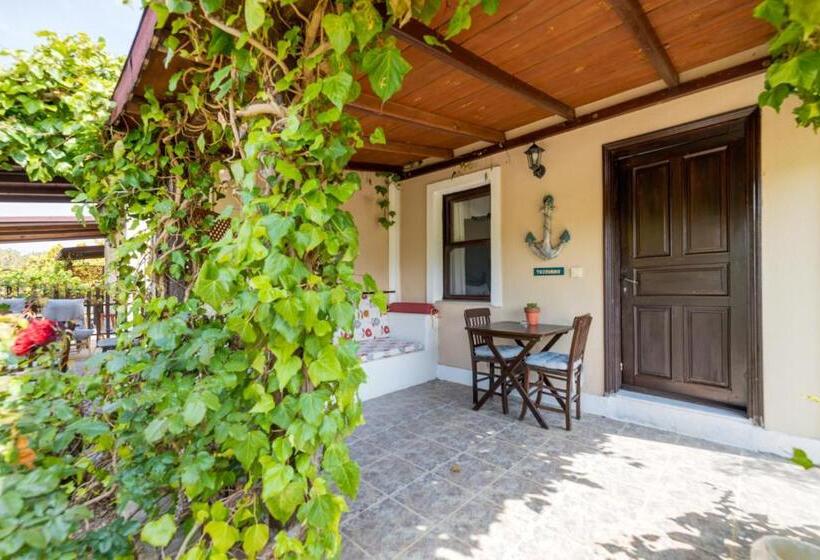 اتاق استاندارد با تراس, Aral Tatil Ciftligi