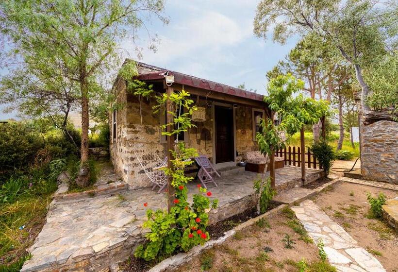 اتاق خانوادگی, Aral Tatil Ciftligi