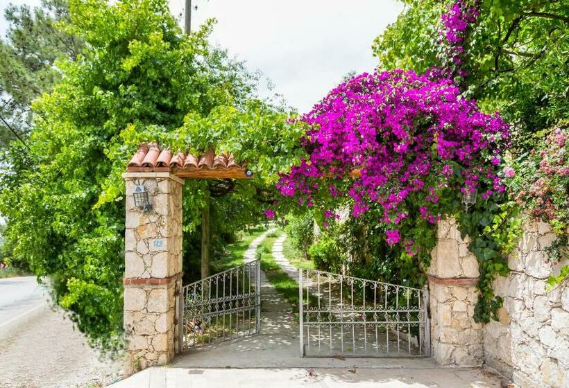 ویلای 3 خوابه, Kleo Cottages