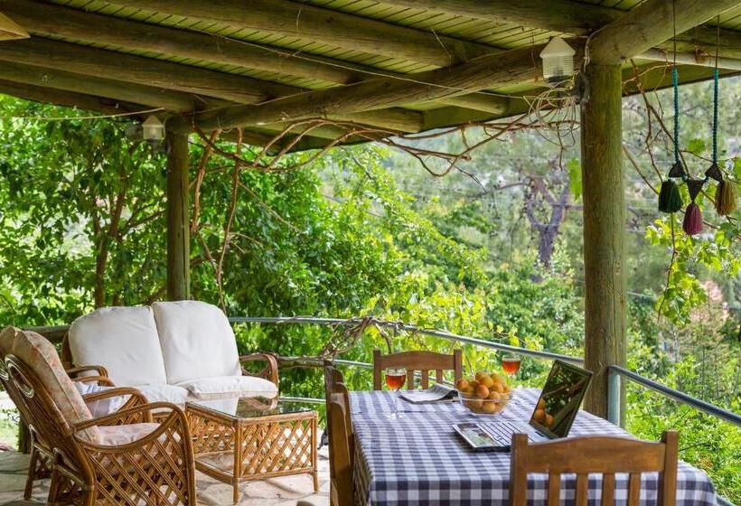ویلای 4 خوابه, Kleo Cottages