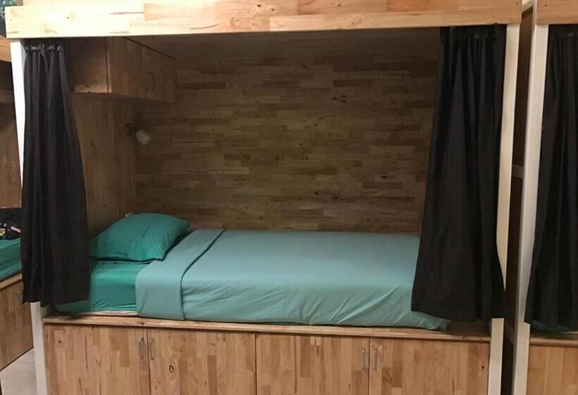 سرير فى غرفة مشتركه, Coco Khao Sok Hostel