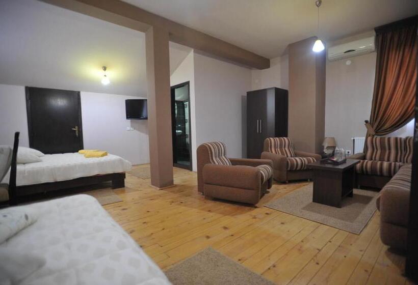 سوئیت کلاسیک, Garni Hotel City