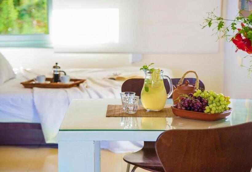 Студия Стандарт Вид на Море, Nereids Apartments