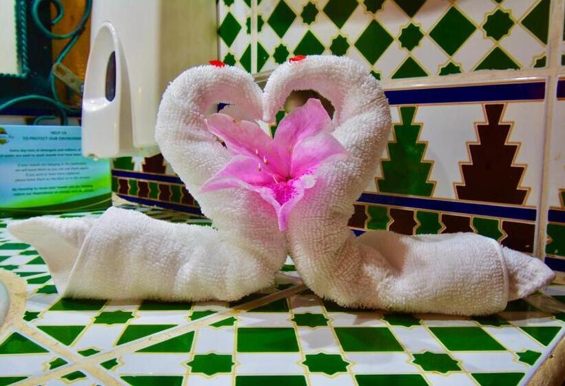 スイート, La Mansion Inn Arenal