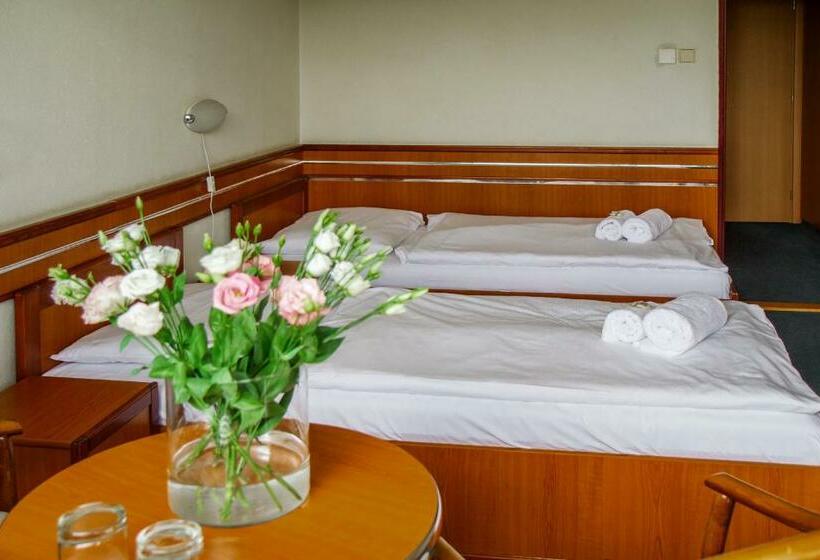 اتاق استاندارد, Ibis Styles Relax Roznov Pod Radhostem